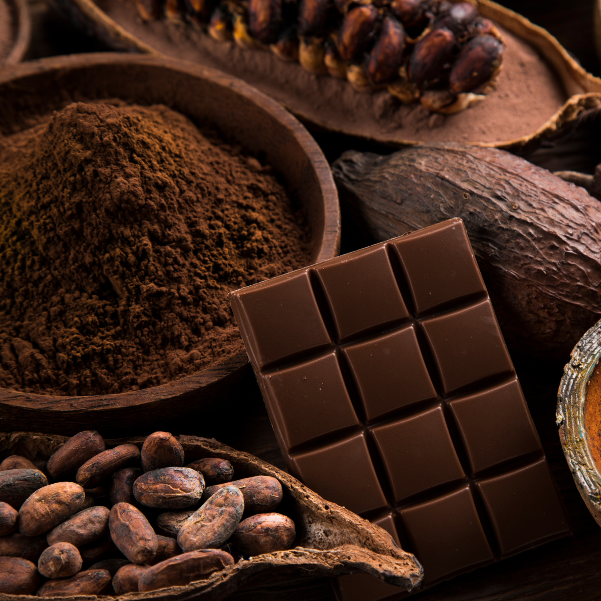 Untitled design (11)